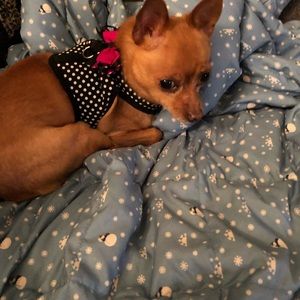 Meet your Posher, Kim